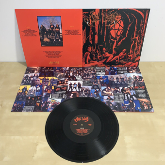 ANAL VOMIT Demoniac Flagellations LP BLACK [VINYL 12'']